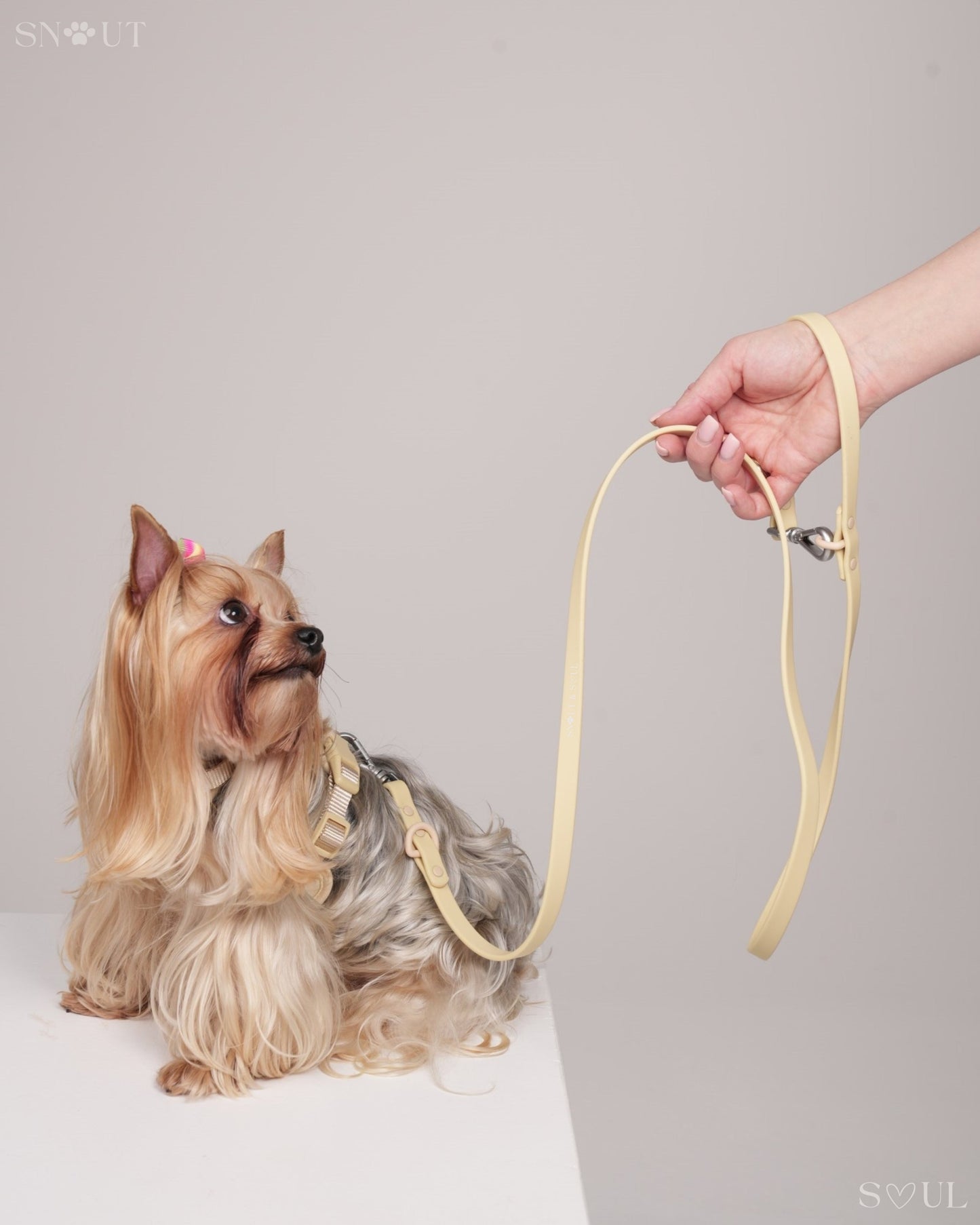Bungee Hondenriem 1.2M – Met Schokabsorbering