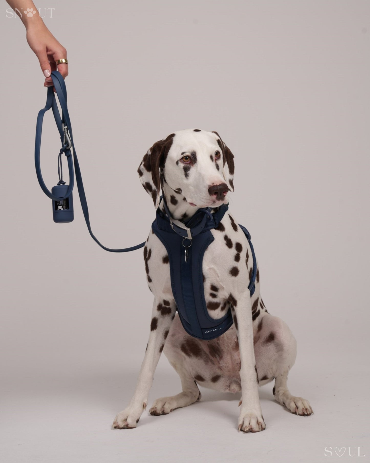 Bungee Hondenriem 1.2M – Met Schokabsorbering