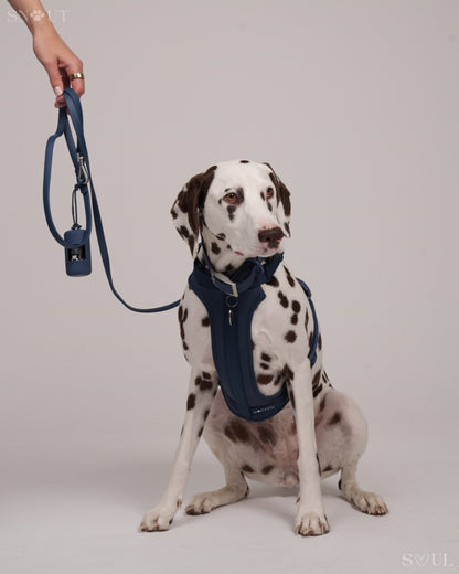 Bungee Hondenriem 1.2M – Met Schokabsorbering