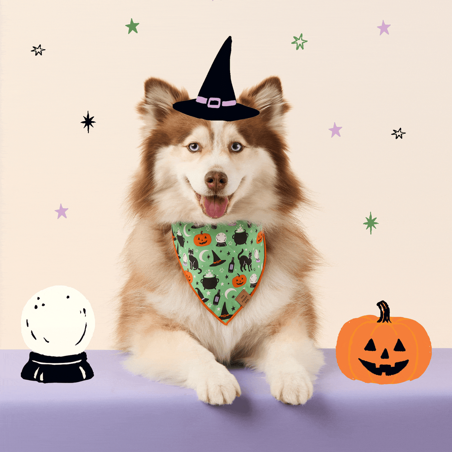 Spellbound Omkeerbare Bandana Voor Honden