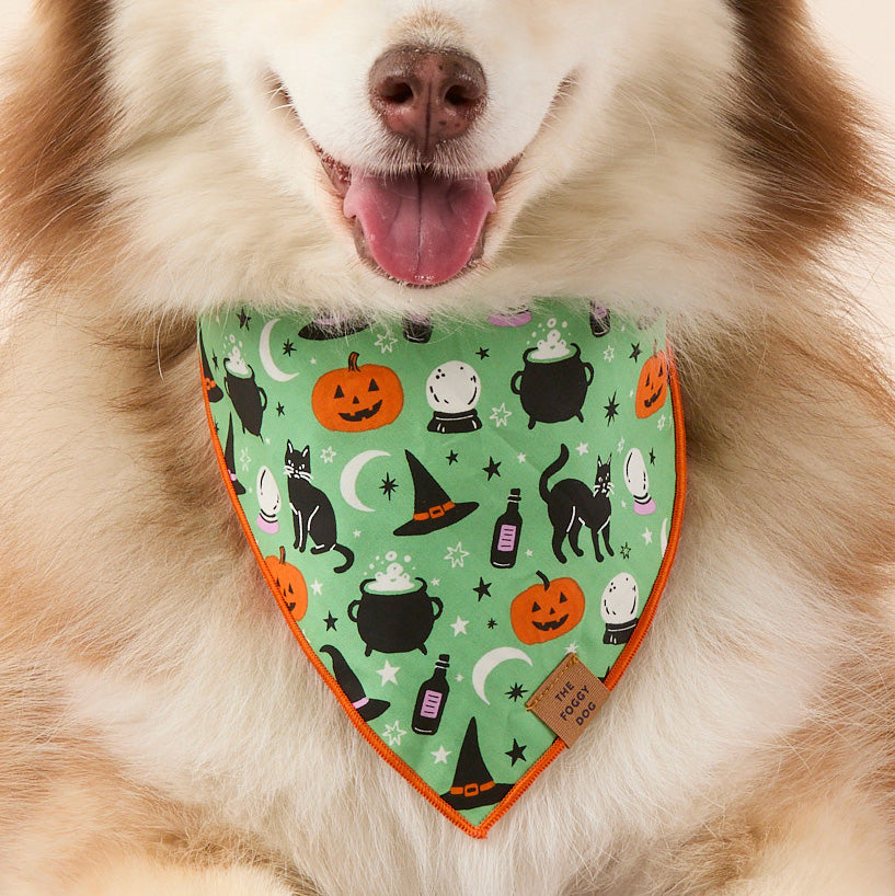 Spellbound Omkeerbare Bandana Voor Honden