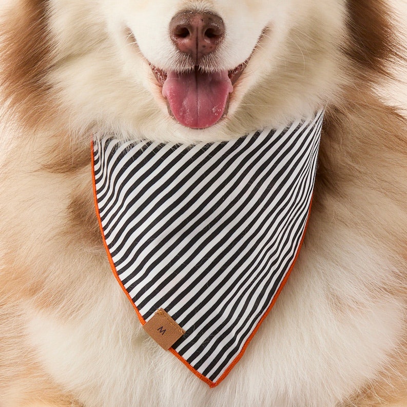 Spellbound Omkeerbare Bandana Voor Honden