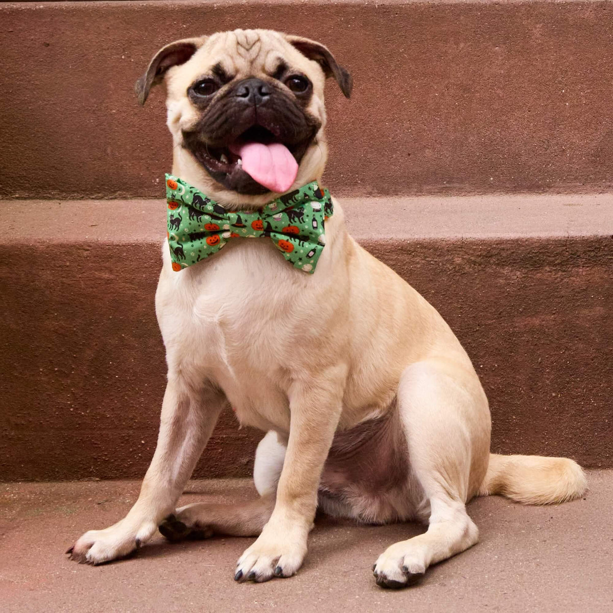 Spellbound Vlinderstrik-Halsband Voor Honden