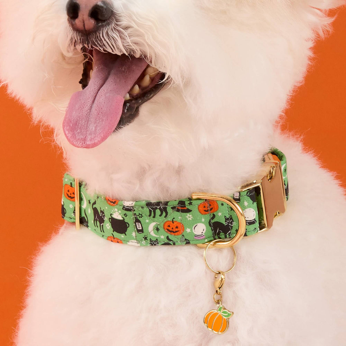 Spellbound Halsband Voor Honden