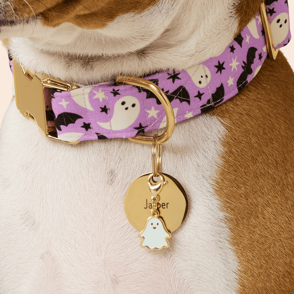 Glow-in-the-Dark Spookbedeltje Voor Honden