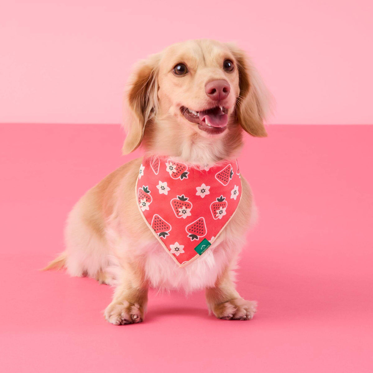 Strawberry Vanilla Bandana Voor Honden