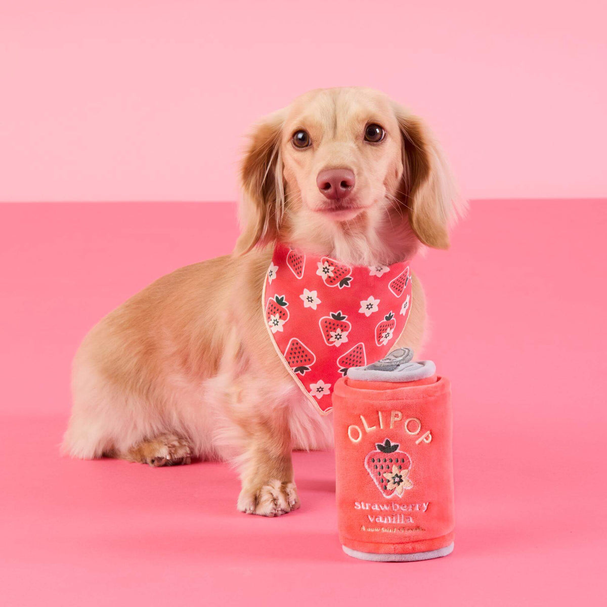 Strawberry Vanilla Snuffelspeelgoed Voor Honden