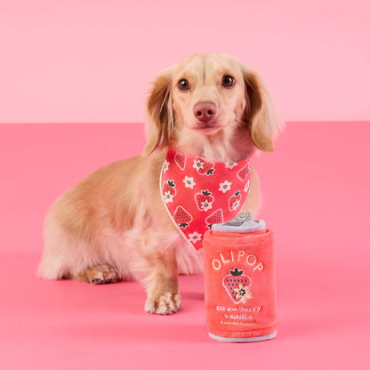 Strawberry Vanilla Snuffelspeelgoed Voor Honden