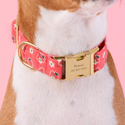 Strawberry Vanilla Halsband Voor Honden