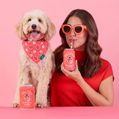 Strawberry Vanilla Snuffelspeelgoed Voor Honden