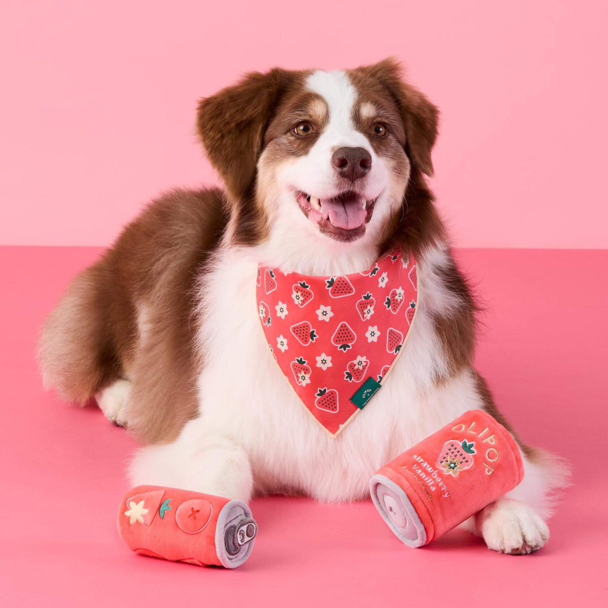 Strawberry Vanilla Bandana Voor Honden