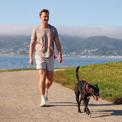 Saddle Everyday Wandelset Voor Honden