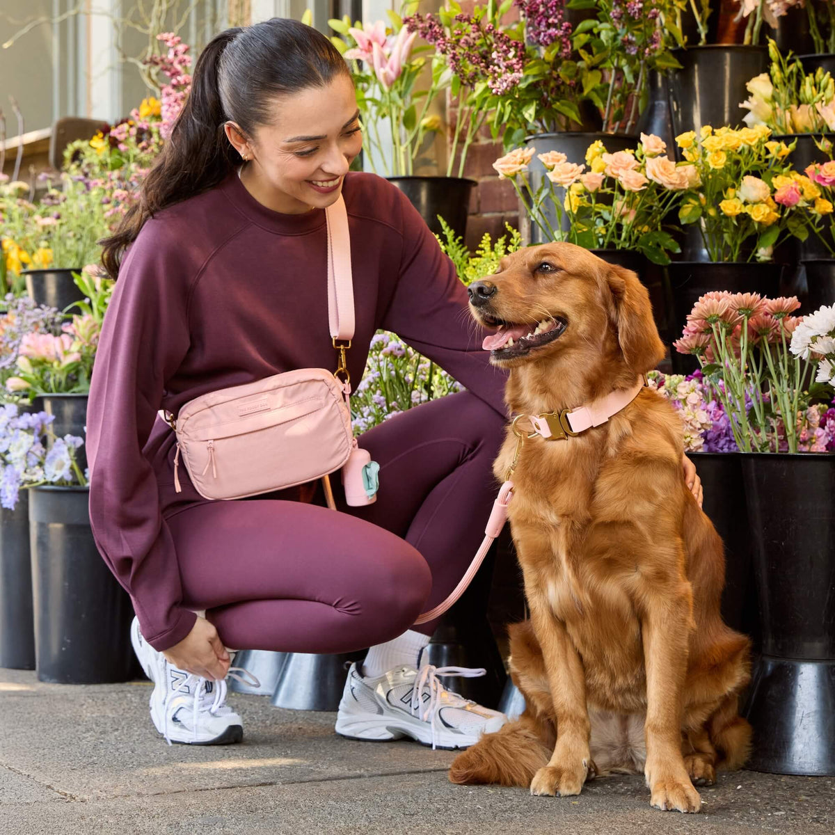 Shell Adventure Wandelset Voor Honden
