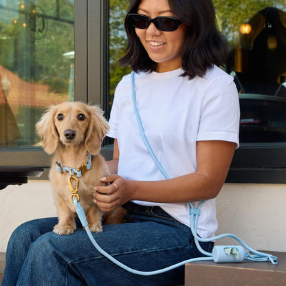 Shell Everyday Wandelset Voor Honden