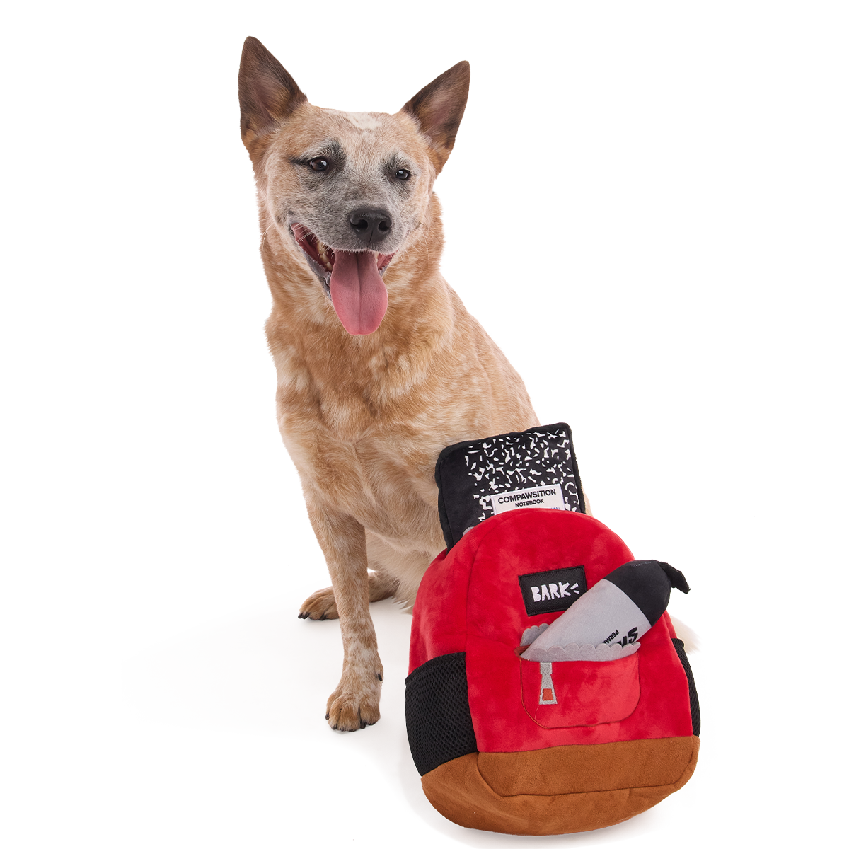 Zittende hond naast de rugzak met schrift en stift in de vakken