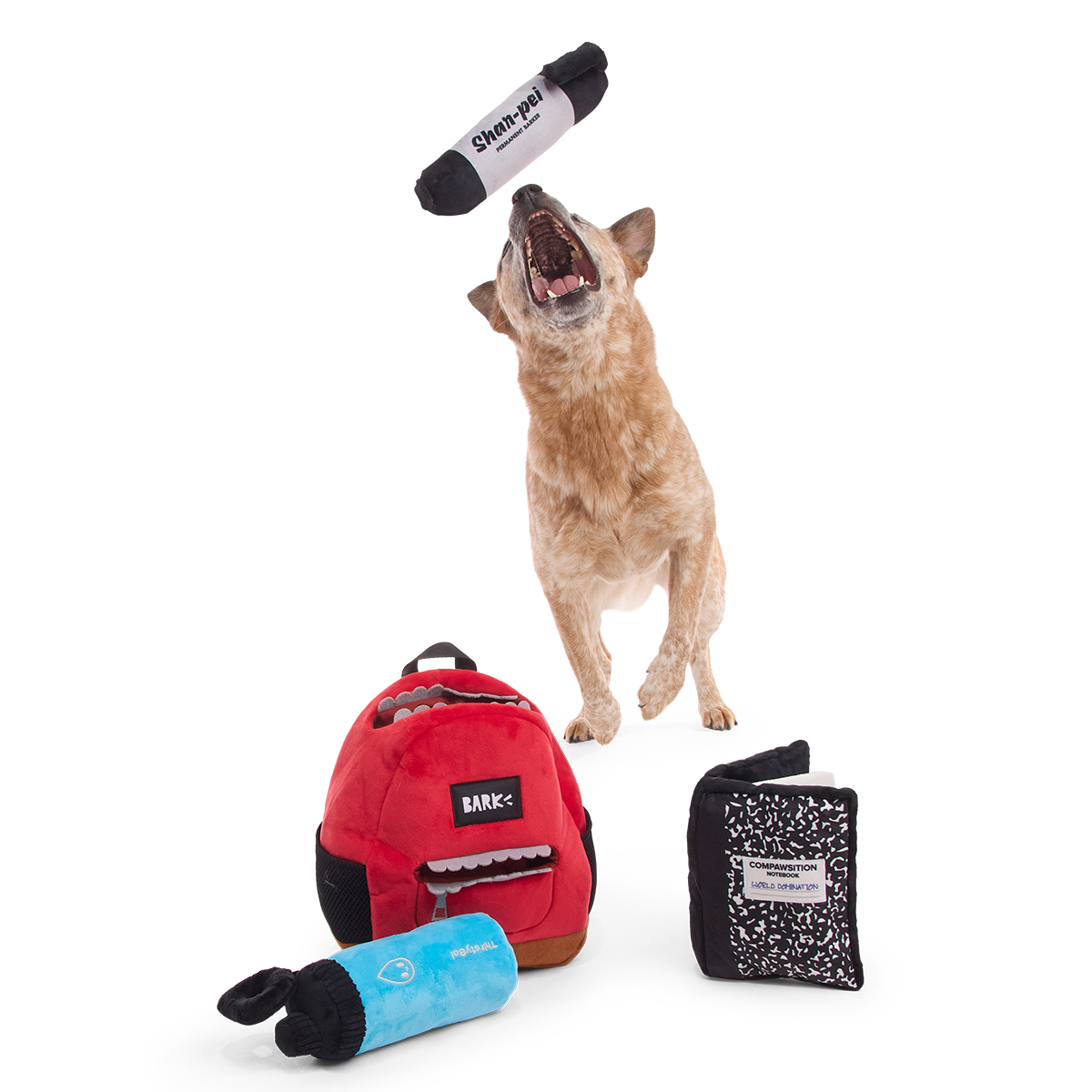 Hond hapt naar de opgegooide stift, rugzak, fles en schrift op de grond