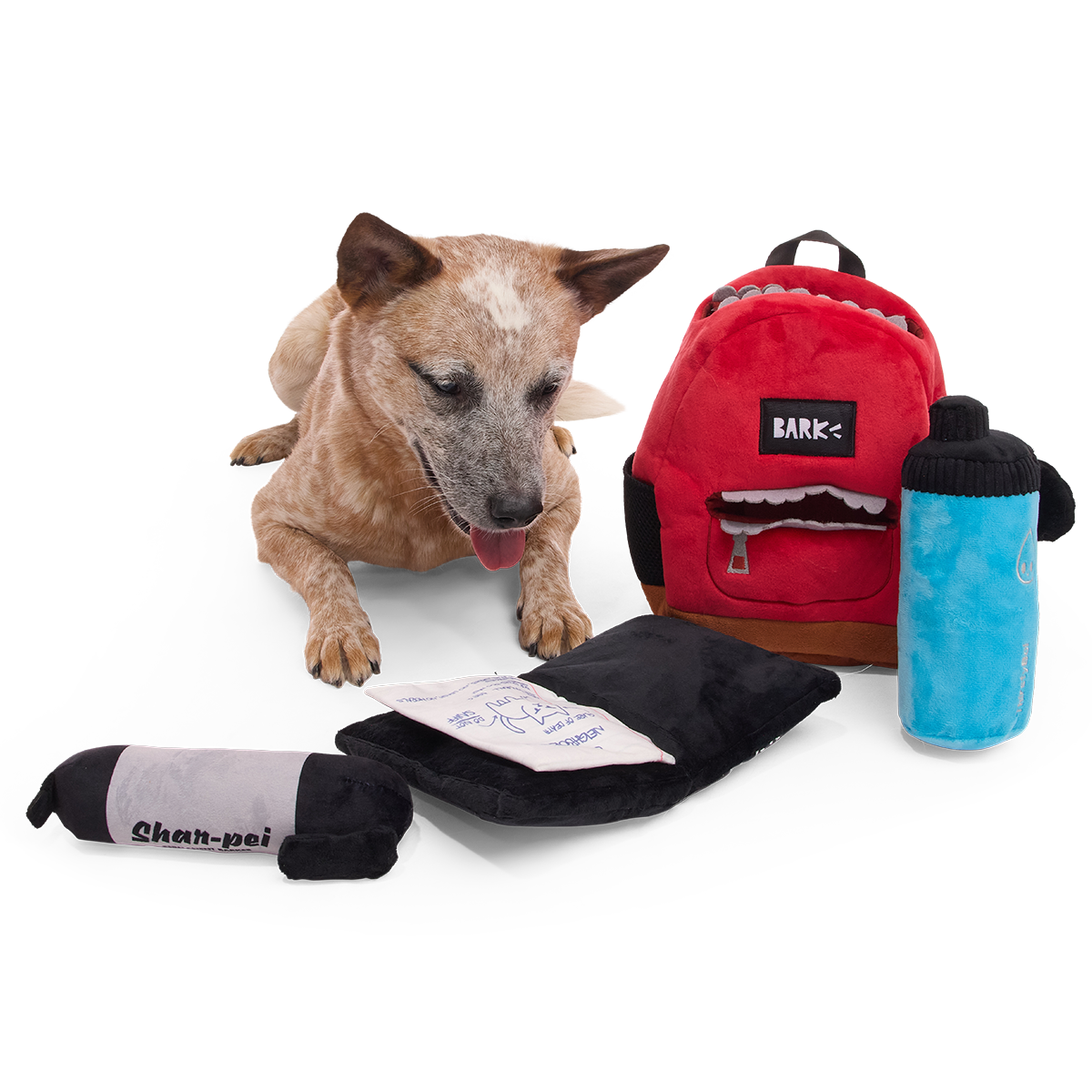 Rode pluche rugzak hondenspeelgoed met stift, schrift en drinkfles naast liggende hond