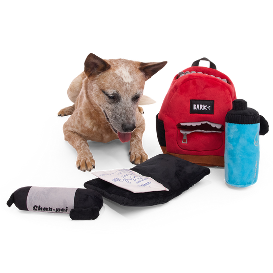Rode pluche rugzak hondenspeelgoed met stift, schrift en drinkfles naast liggende hond