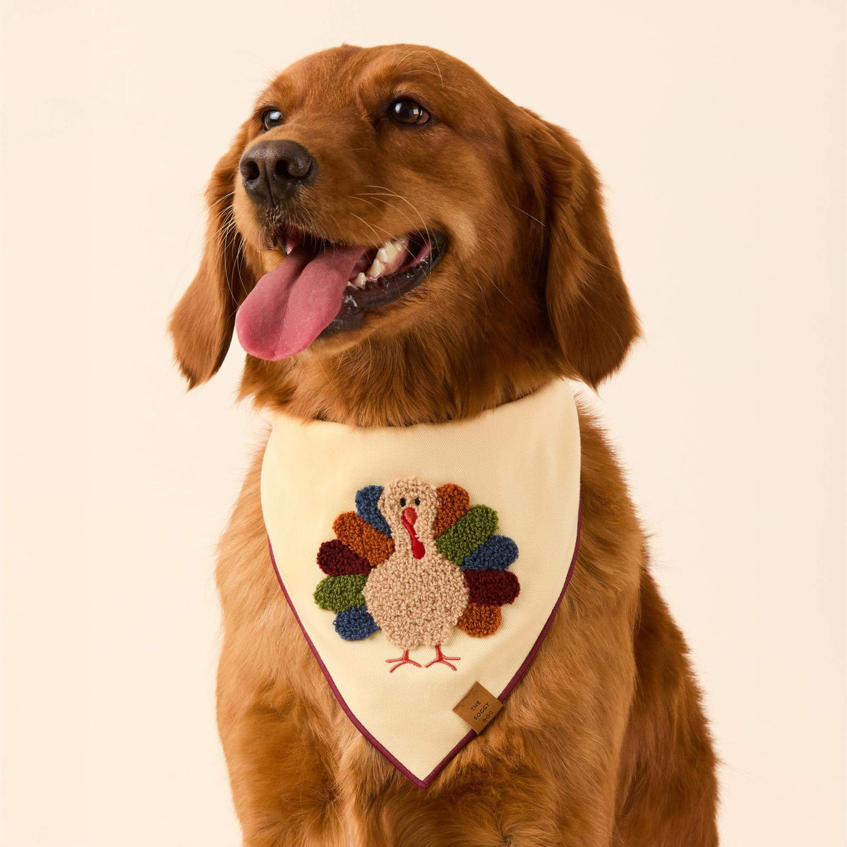 Kalkoenbandana Met Applicatie Voor Honden
