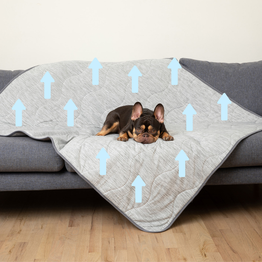 Cool Dog Blanket – Heat &amp; Stain Protection