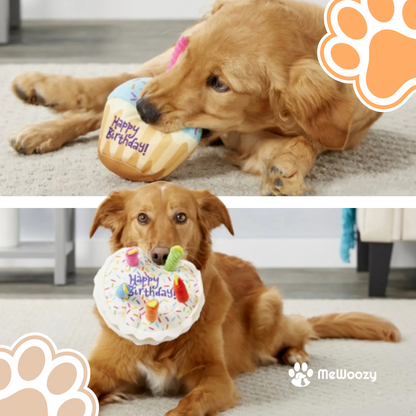 Verjaardagsspeelset Voor Honden – Met Piepgeluid En Pluche