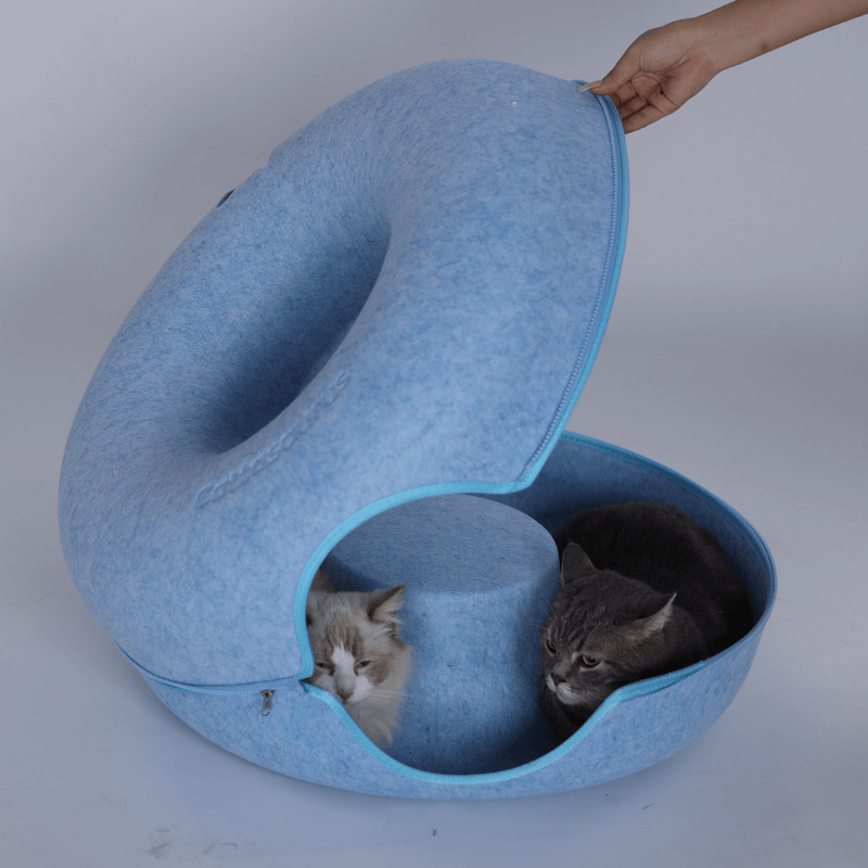 Hand tilt bovenkant van de kattengrot open, twee katten liggen binnenin