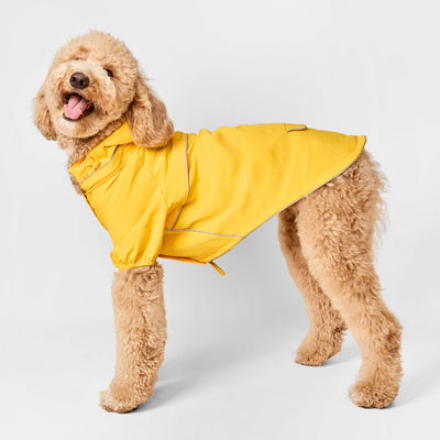 Gele reflecterende regenjas voor honden aan een staande blonde labradoodle