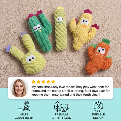 Vijf cactussen in verschillende kleuren met klantreview en iconen voor tanden, kattenkruid en stevigheid