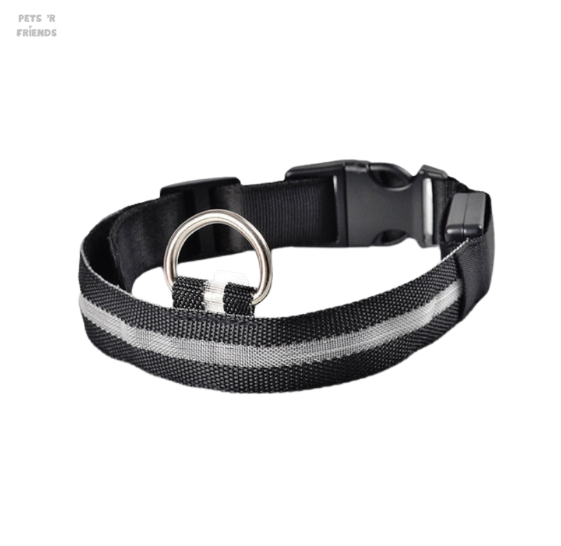 Zwarte halsband met grijze lichtstrook, gesp en ring van bovenaf