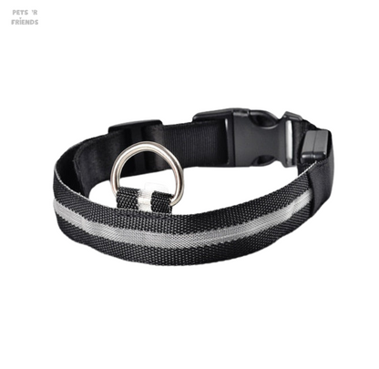 Zwarte halsband met grijze lichtstrook, gesp en ring van bovenaf