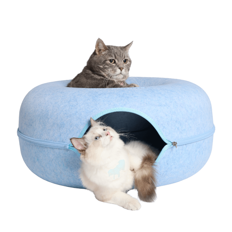 Grijze kat bovenop de kattengrot en witte kat voor de ingang