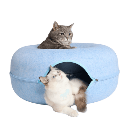 Grijze kat bovenop de kattengrot en witte kat voor de ingang