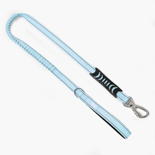 Bungee Dog Leash – For Stress-Free Walking