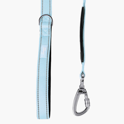 Bungee Dog Leash – For Stress-Free Walking