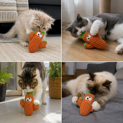 Vier katten spelen elk met de oranje cactus in huiselijke situaties