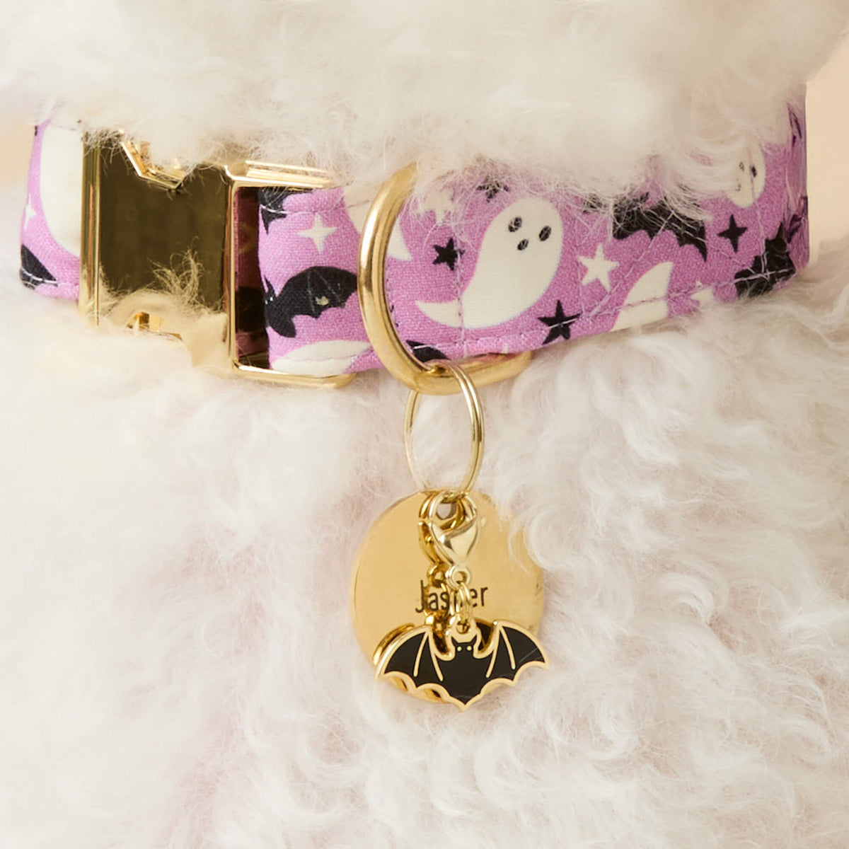 Halloween Halsbandbedeltjes Voor Honden