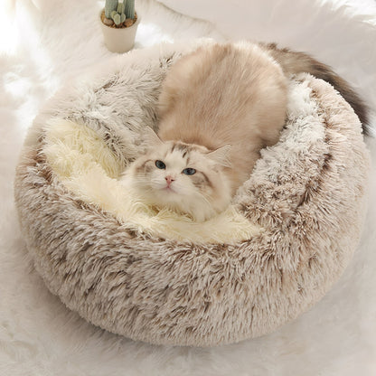 Ragdollkat ligt in bruine kattenmand met de kap platgelegd als rand