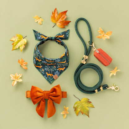 Pumpkin Fluwelen Lady-Strik Voor Honden