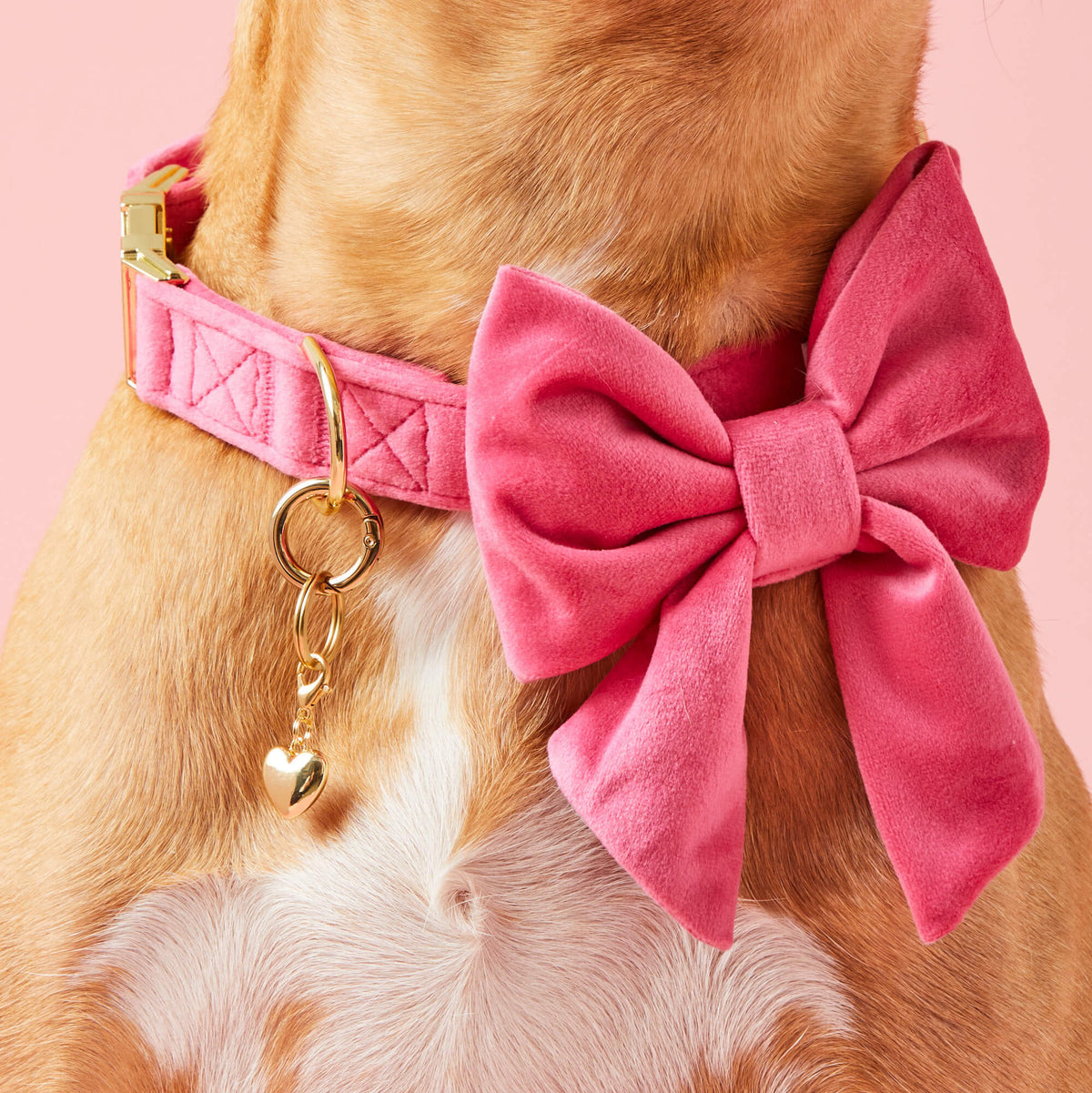 Love In Bloom Halsbandbedelset Voor Honden