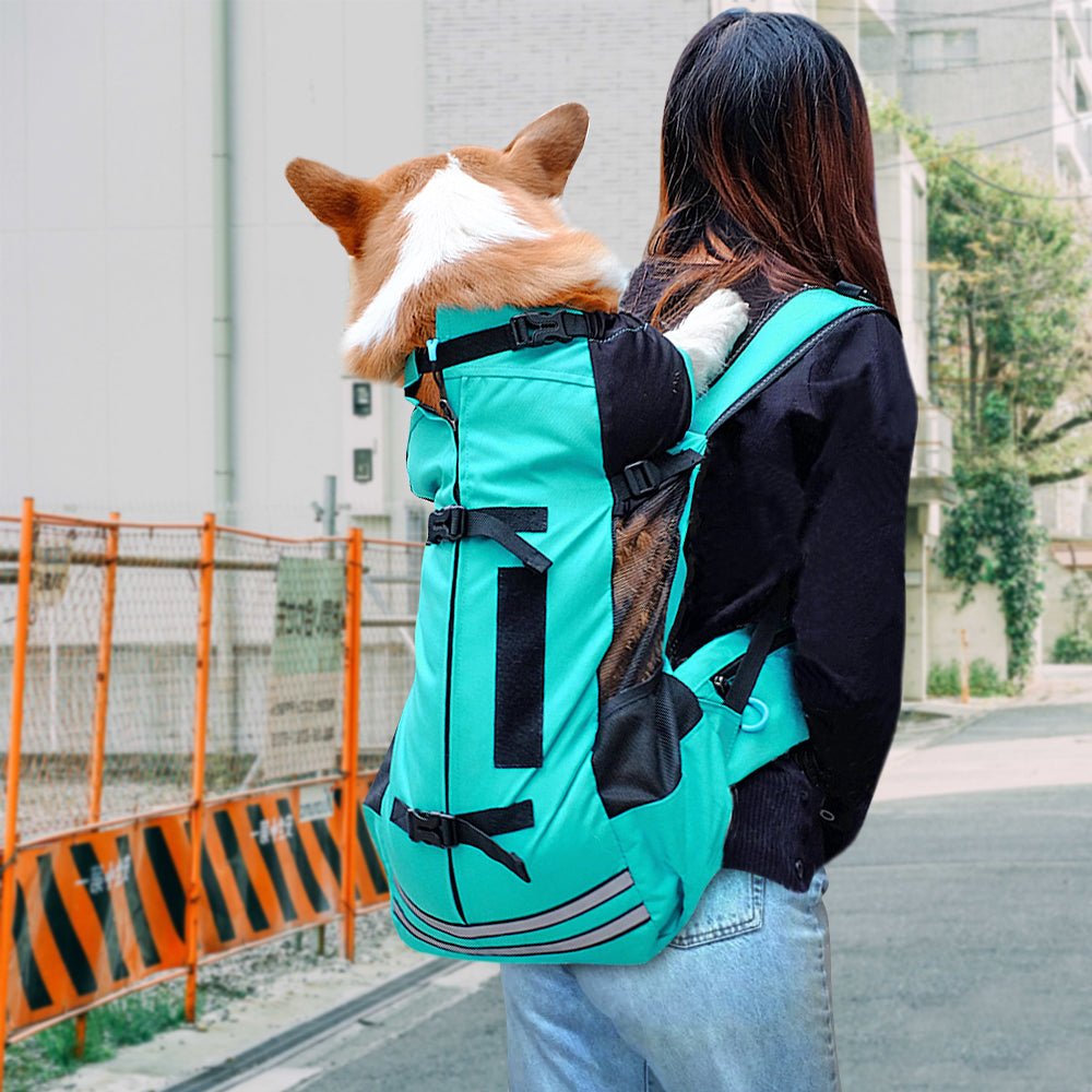 Turquoise waterdichte hondenrugzak met reflectiestrepen, gedragen door vrouw met corgi erin