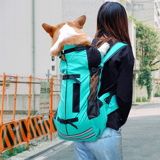 Turquoise waterdichte hondenrugzak met reflectiestrepen, gedragen door vrouw met corgi erin