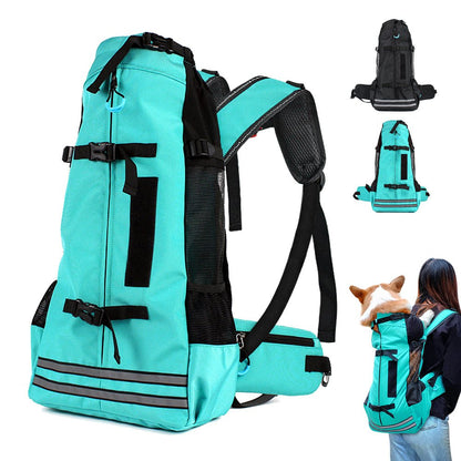 Turquoise hondenrugzak schuin van voren, met kleine foto's van zwarte versie en corgi