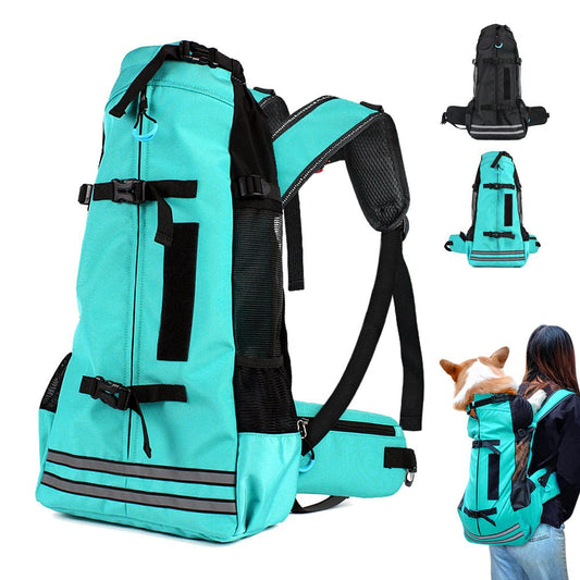 Turquoise hondenrugzak schuin van voren, met kleine foto's van zwarte versie en corgi