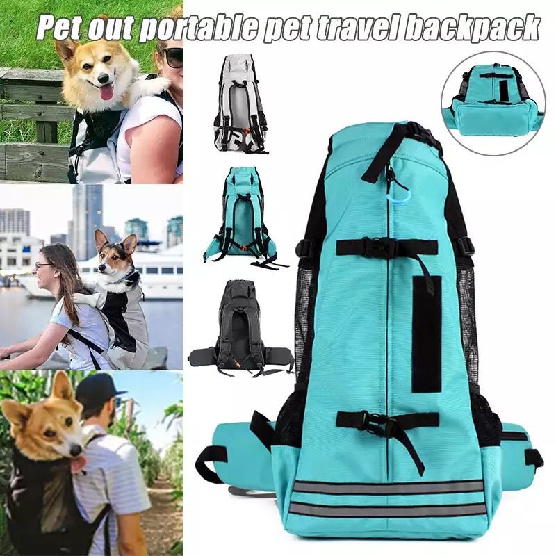 Collage van mensen buiten met corgi in de rugzak, naast turquoise model