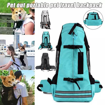 Collage van mensen buiten met corgi in de rugzak, naast turquoise model