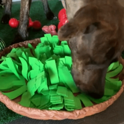 Snuffelmat Voor Honden – Tegen Snel Eten En Verveling
