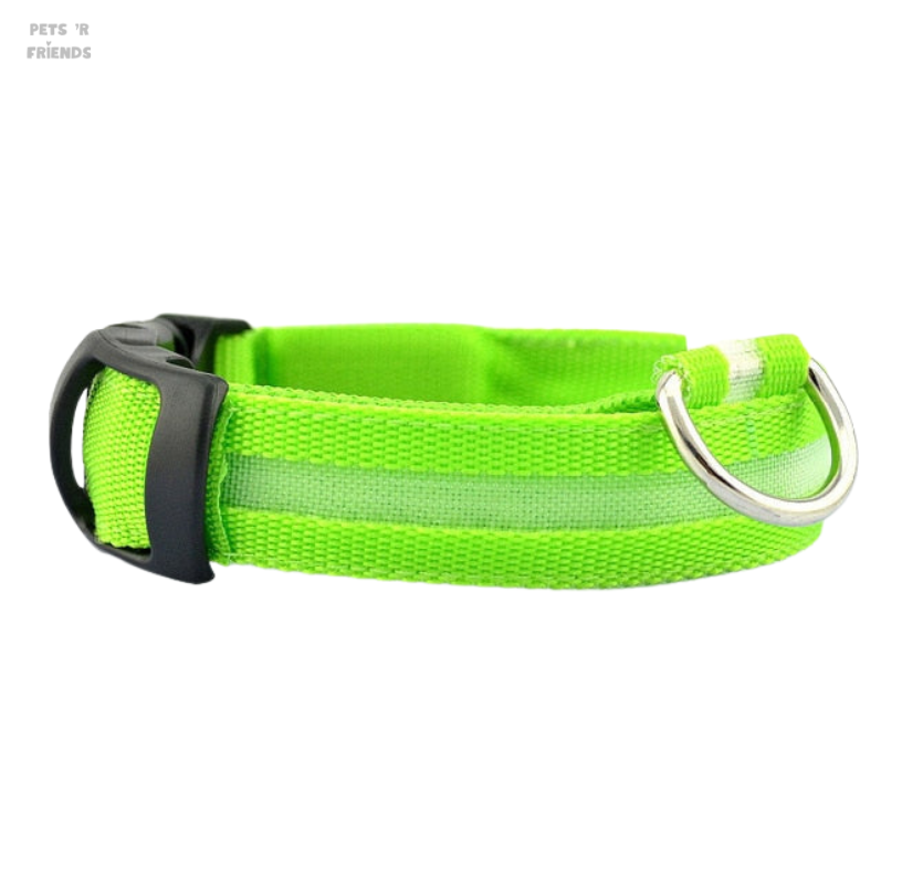 Groene nylon halsband met zwarte klikgesp en metalen D-ring