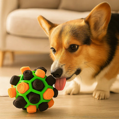 Corgi met tong uit naast een groene snuffelbal met oranje en zwarte rolletjes
