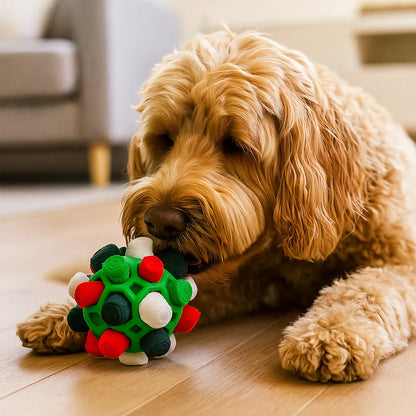 Liggende labradoodle met een groene snuffelbal in rood, wit en donkergroen
