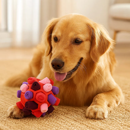 Golden retriever ligt op een kleed naast een rode bal met paarse en roze rolletjes